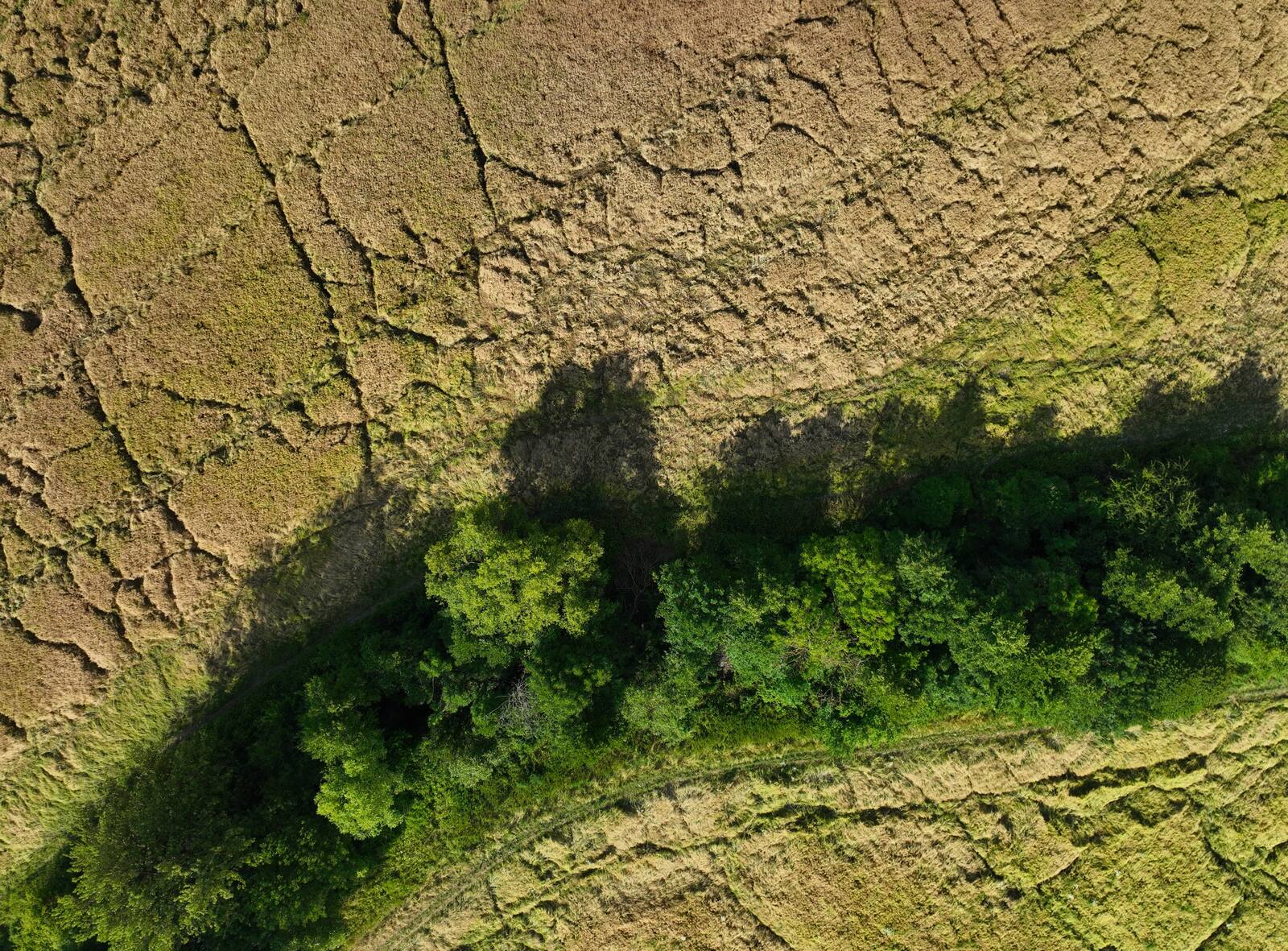 Zelené pole z dronu